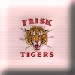 Frisk Asker Tigers